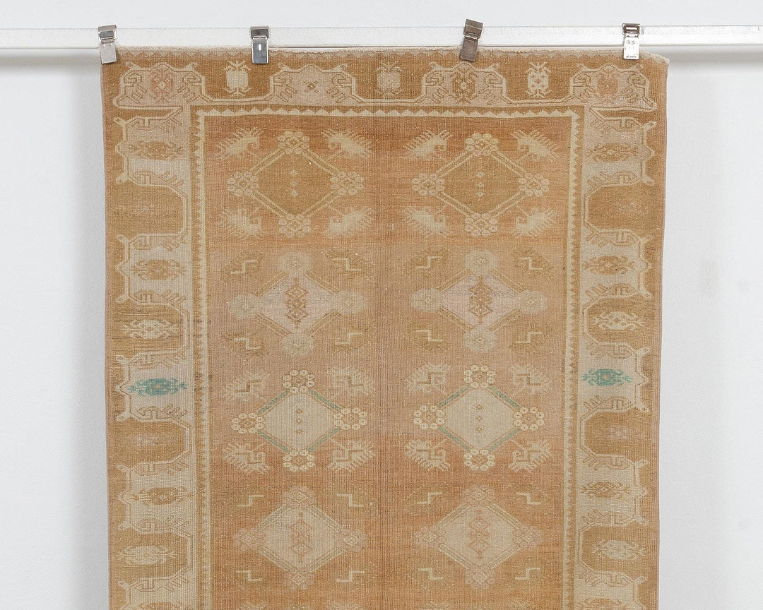 Beige Runner Rug 4' 1" x 10' 4" | No. VR91982