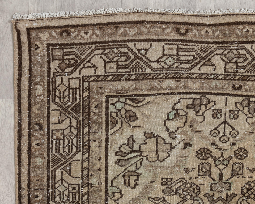 Runner Rug 3' 10" x 10' 2" | No. VR19606