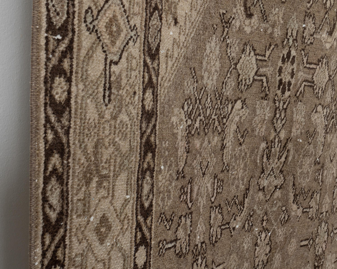 Runner Rug 3' 8" x 10' 10" | No. VR74509