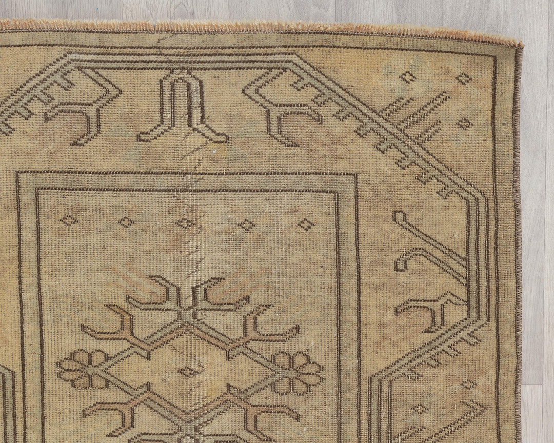 Runner Rug 2' 7" x 8' 10" | No. VR33301