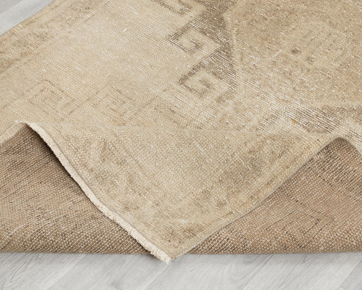Beige Runner Rug 3' 9" x 11' 2" | No. VR81758
