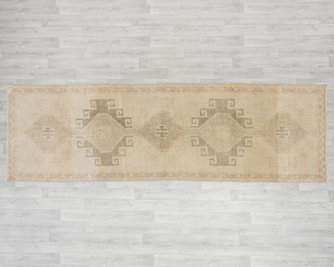 Beige Runner Rug 3' 9" x 11' 2" | No. VR81758