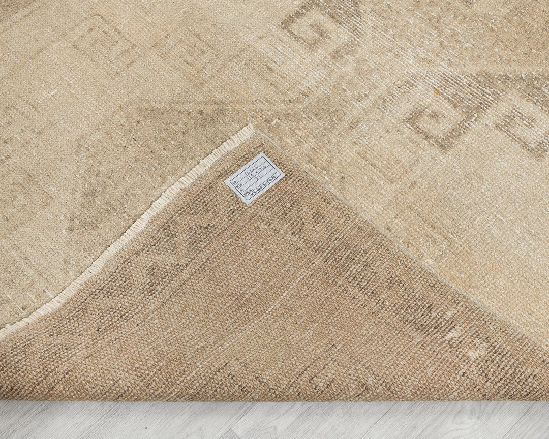 Beige Runner Rug 3' 9" x 11' 2" | No. VR81758