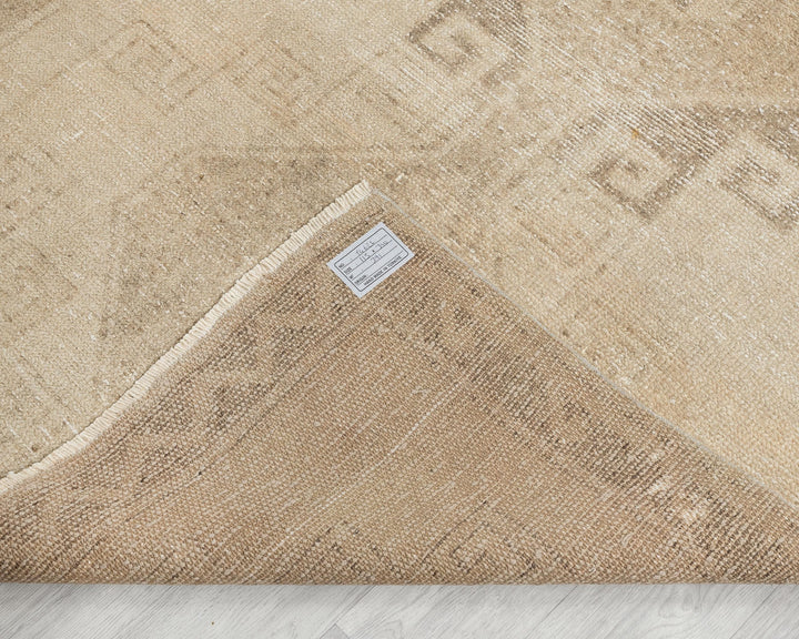 Beige Runner Rug 3' 9" x 11' 2" | No. VR81758