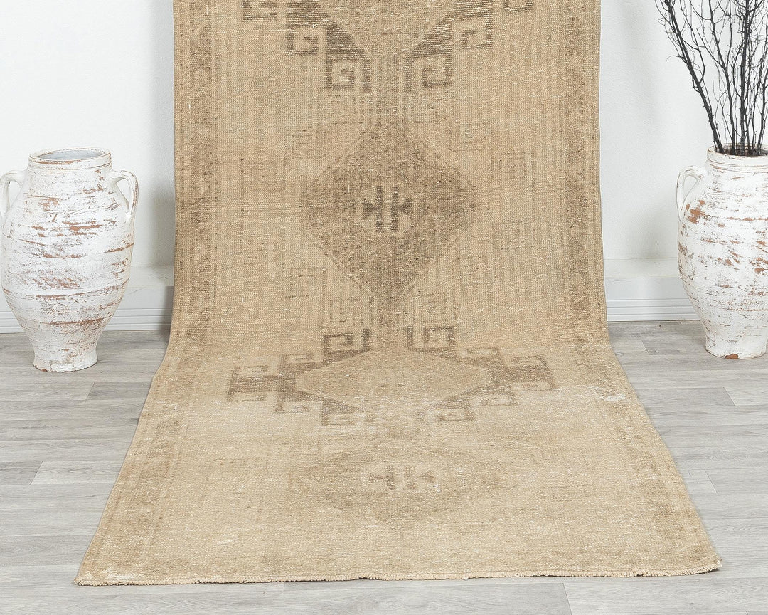 Beige Runner Rug 3' 9" x 11' 2" | No. VR81758