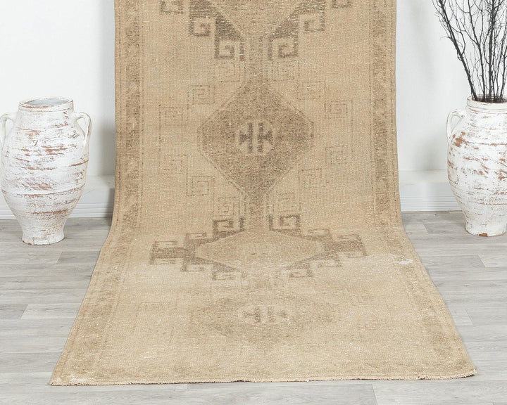 Beige Runner Rug 3' 9" x 11' 2" | No. VR81758