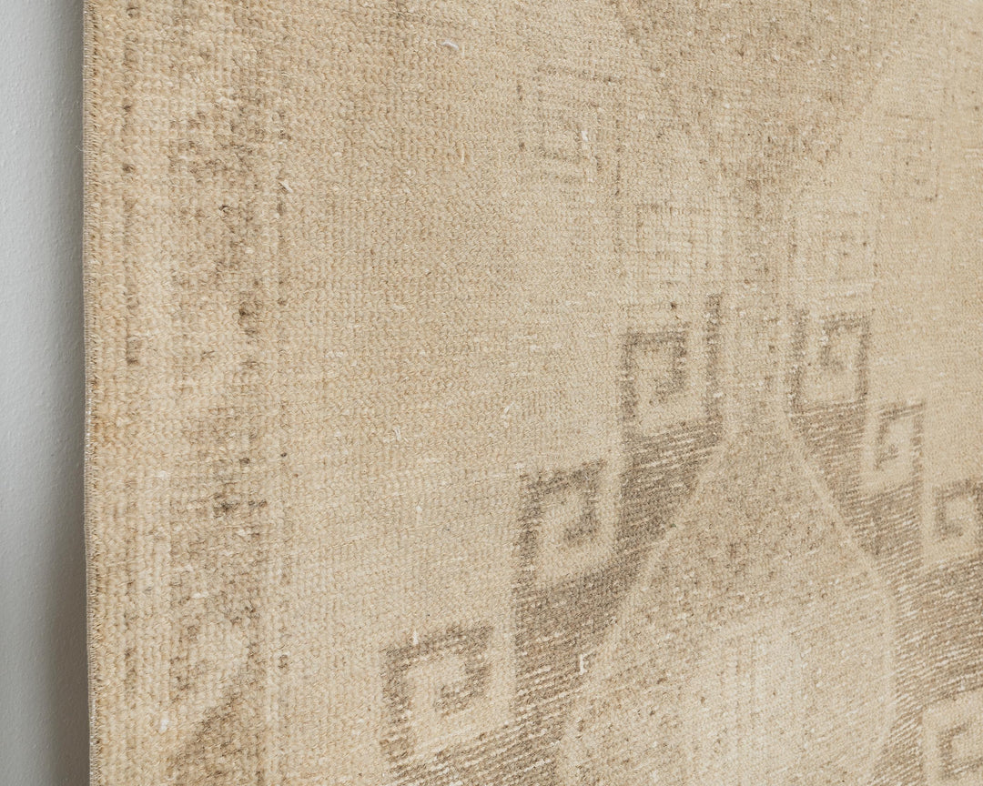 Beige Runner Rug 3' 9" x 11' 2" | No. VR81758