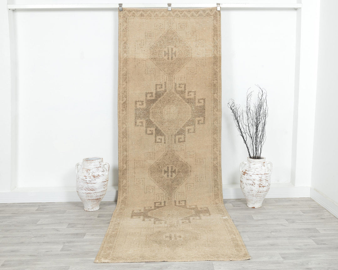 Beige Runner Rug 3' 9" x 11' 2" | No. VR81758