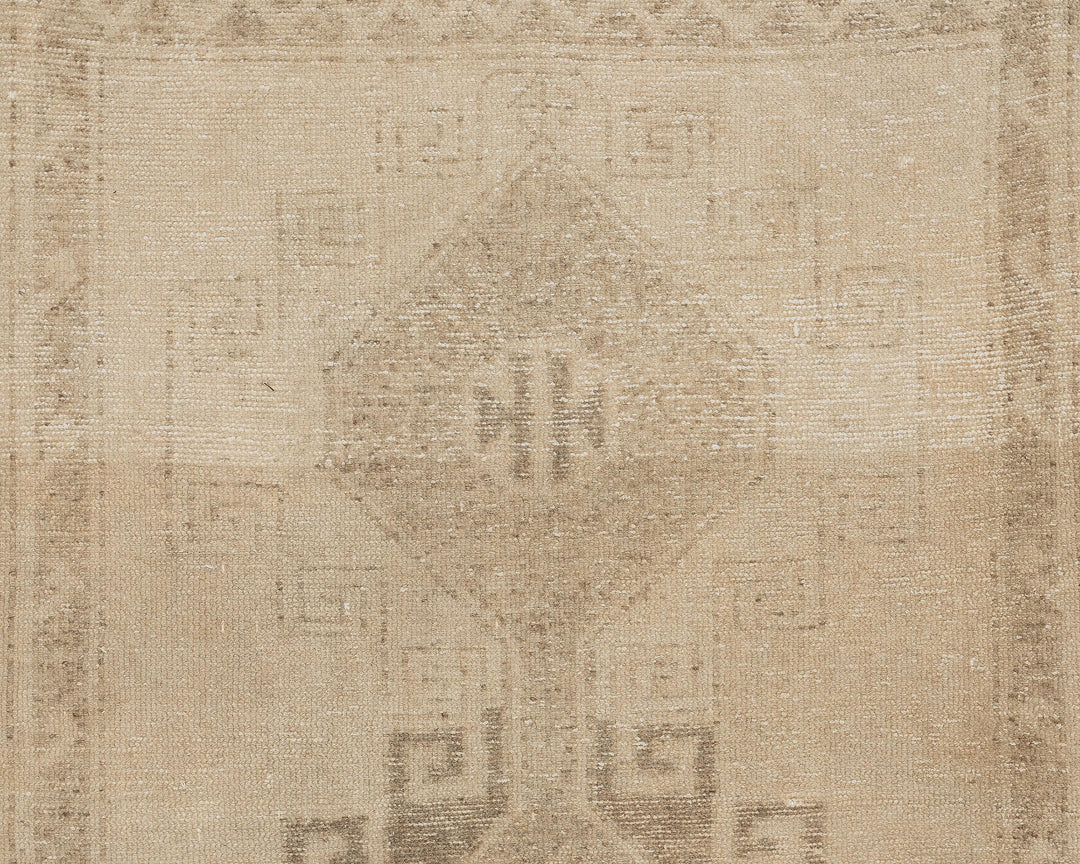 Beige Runner Rug 3' 9" x 11' 2" | No. VR81758