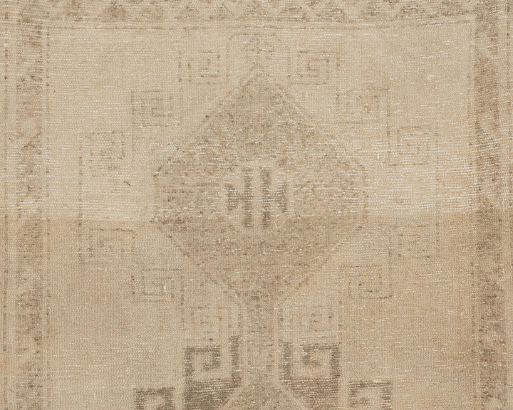 Beige Runner Rug 3' 9" x 11' 2" | No. VR81758
