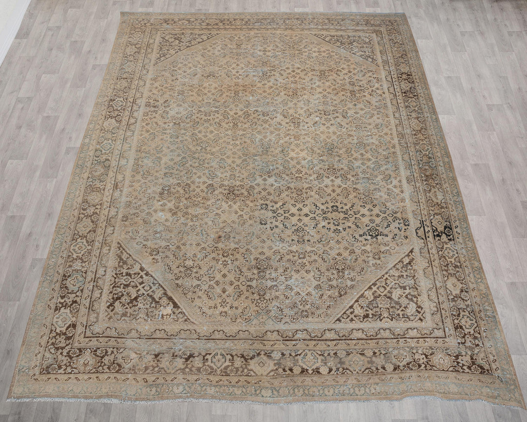 Oushak Rug 9' 10" x 12' 6" | No. VR19158