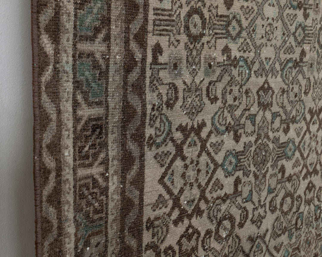 Runner Rug 3' 7" x 10' 2" | No. VR92013