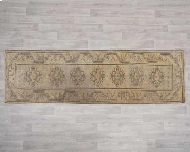 Runner Rug 2' 7" x 8' 10" | No. VR33301