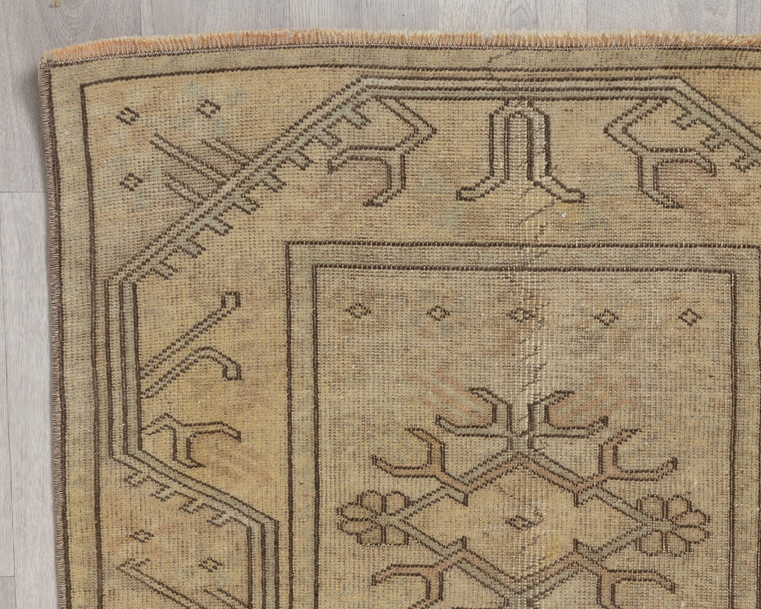 Runner Rug 2' 7" x 8' 10" | No. VR33301