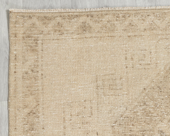 Beige Runner Rug 3' 9" x 11' 2" | No. VR81758