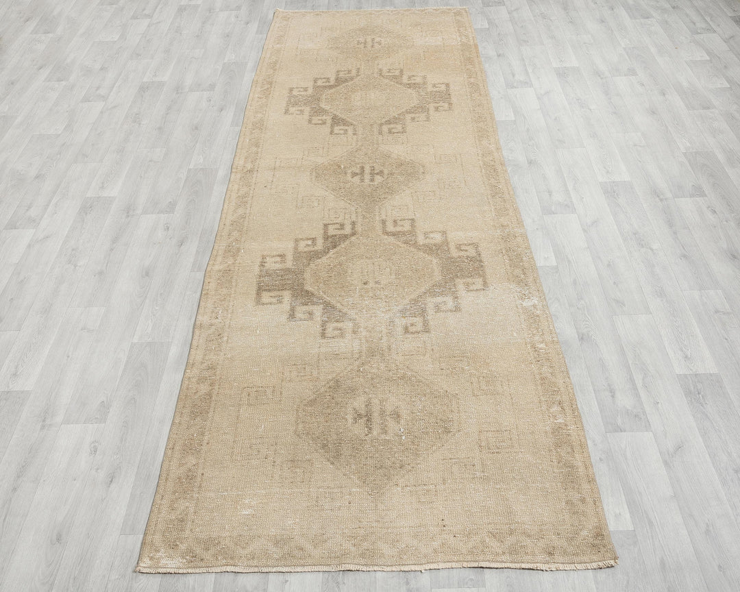 Beige Runner Rug 3' 9" x 11' 2" | No. VR81758