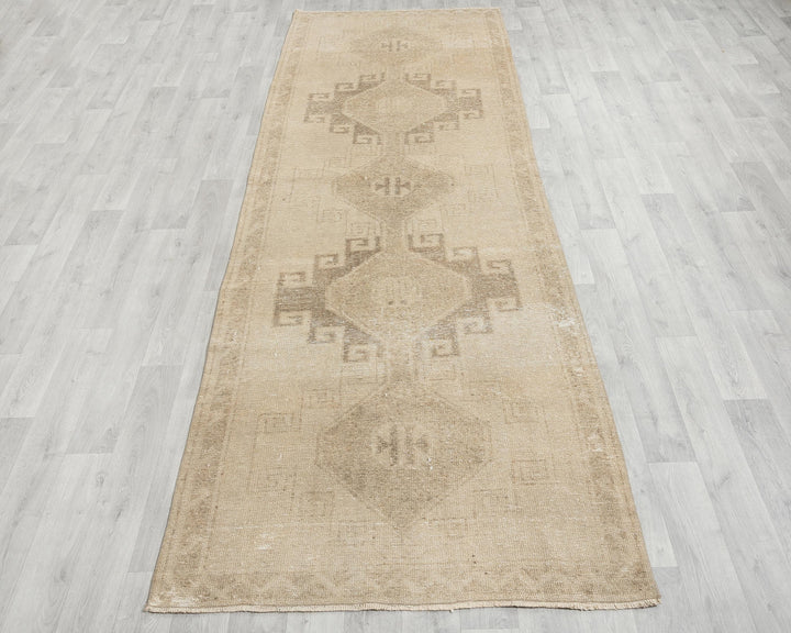 Beige Runner Rug 3' 9" x 11' 2" | No. VR81758