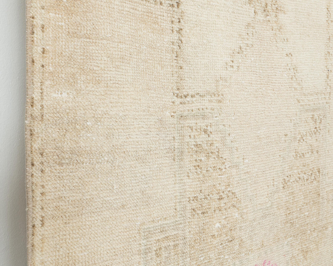 Runner Rug 3' 1" x 12' 1" | No. VR39312