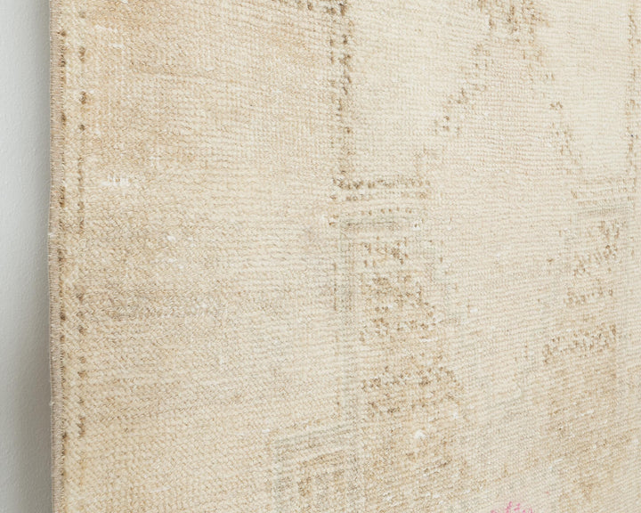 Runner Rug 3' 1" x 12' 1" | No. VR39312