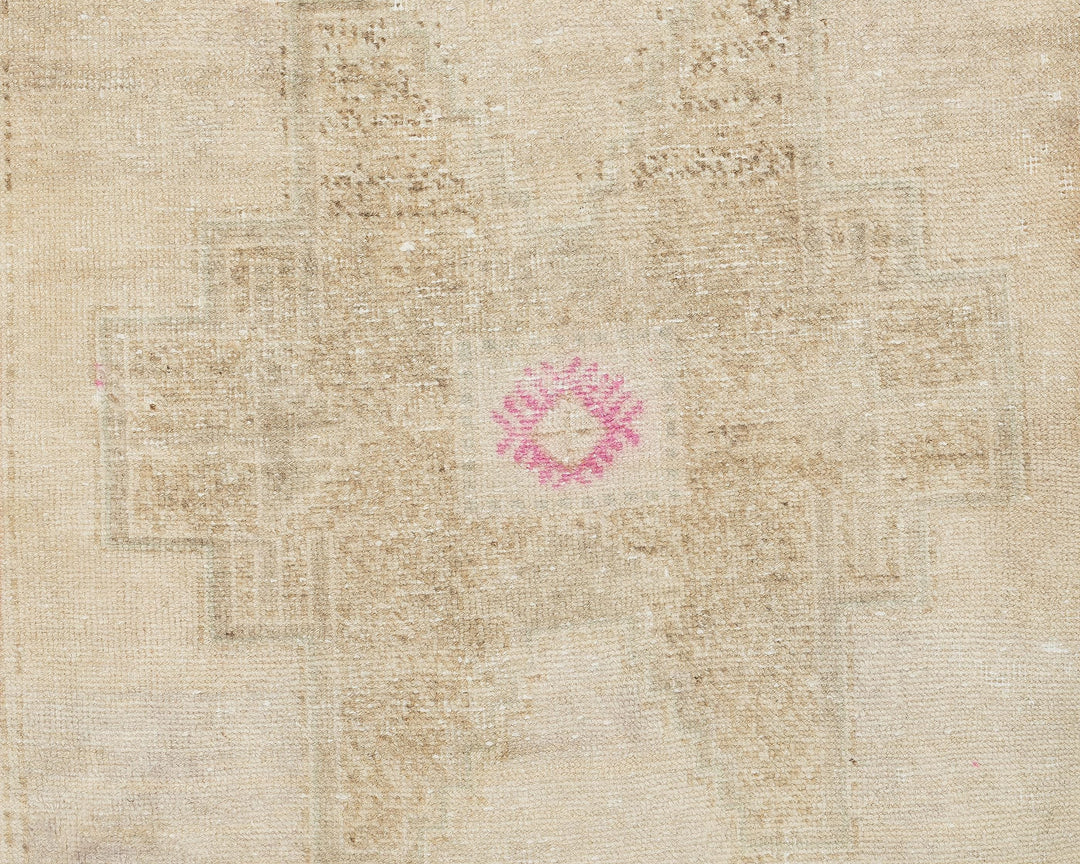 Runner Rug 3' 1" x 12' 1" | No. VR39312