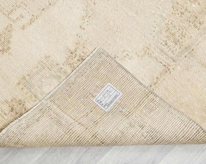 Runner Rug 3' 1" x 12' 1" | No. VR39312