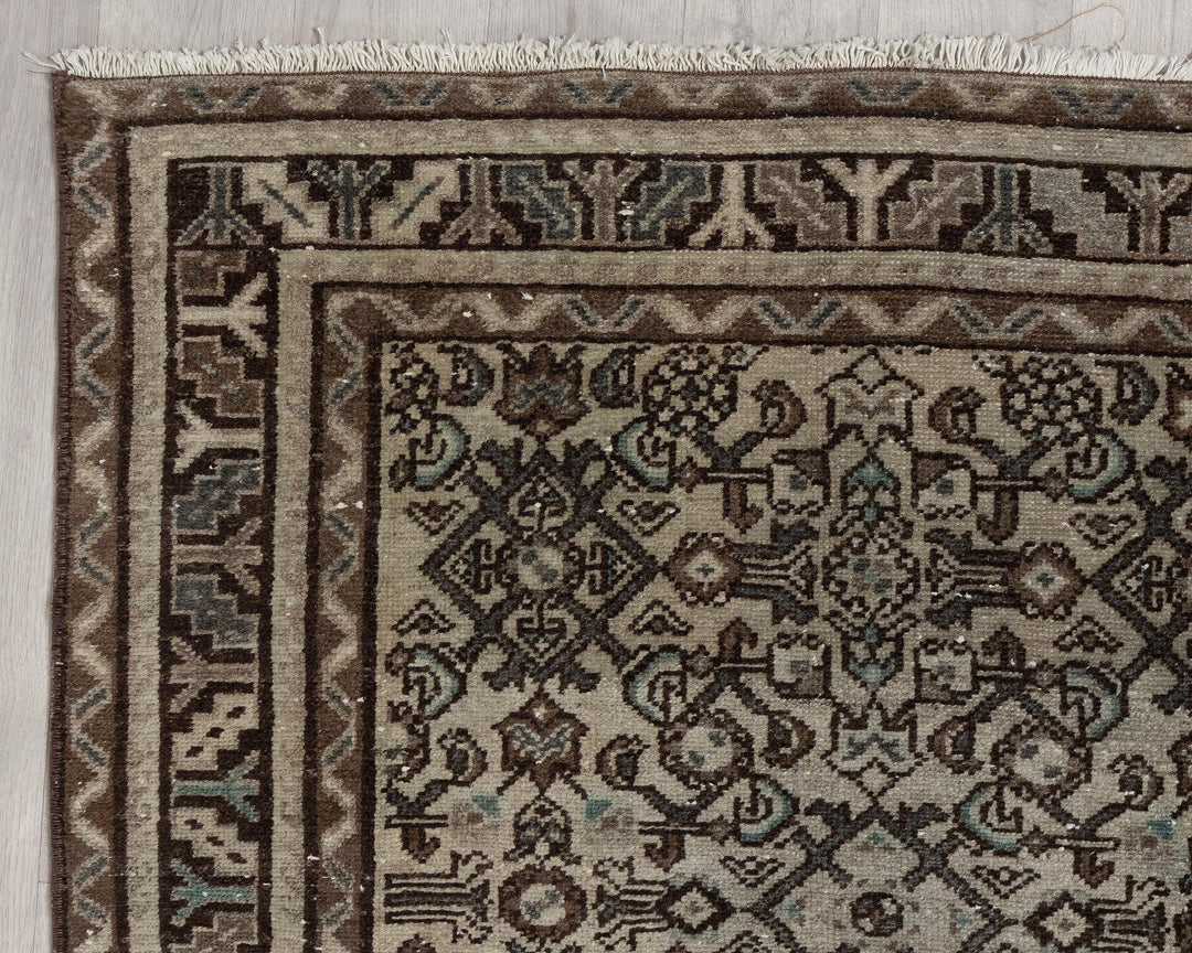 Runner Rug 3' 7" x 10' 2" | No. VR92013