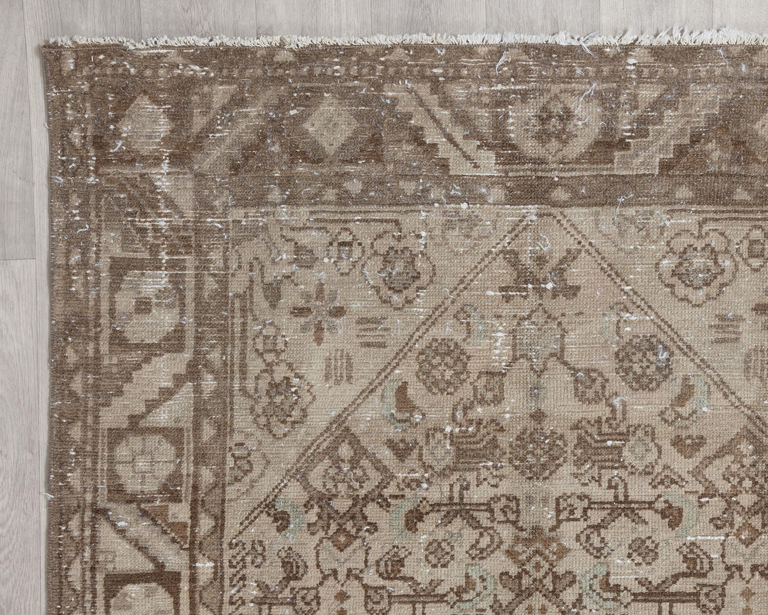 Runner Rug 3' 10" x 9' 11" | No. VR23080