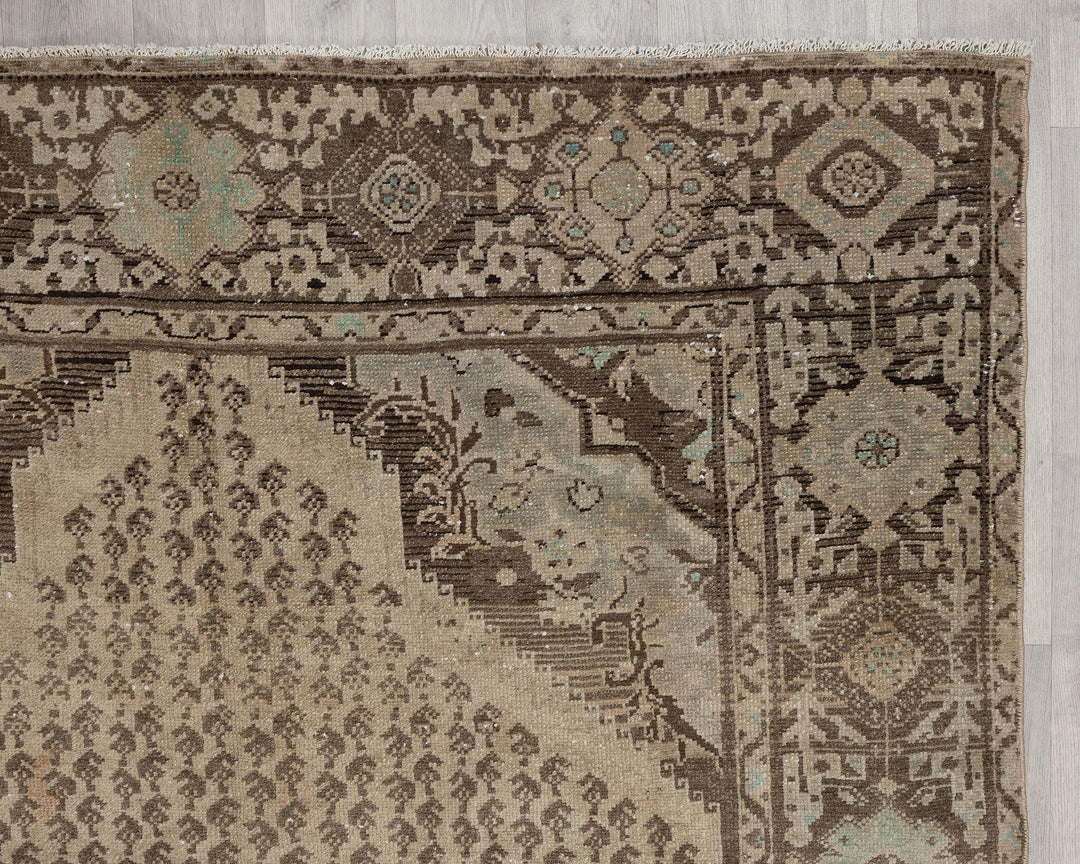 Runner Rug 5' 3" x 9' 10" | No. VR51800
