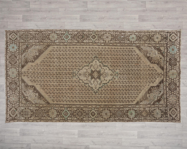 Runner Rug 5' 3" x 9' 10" | No. VR51800
