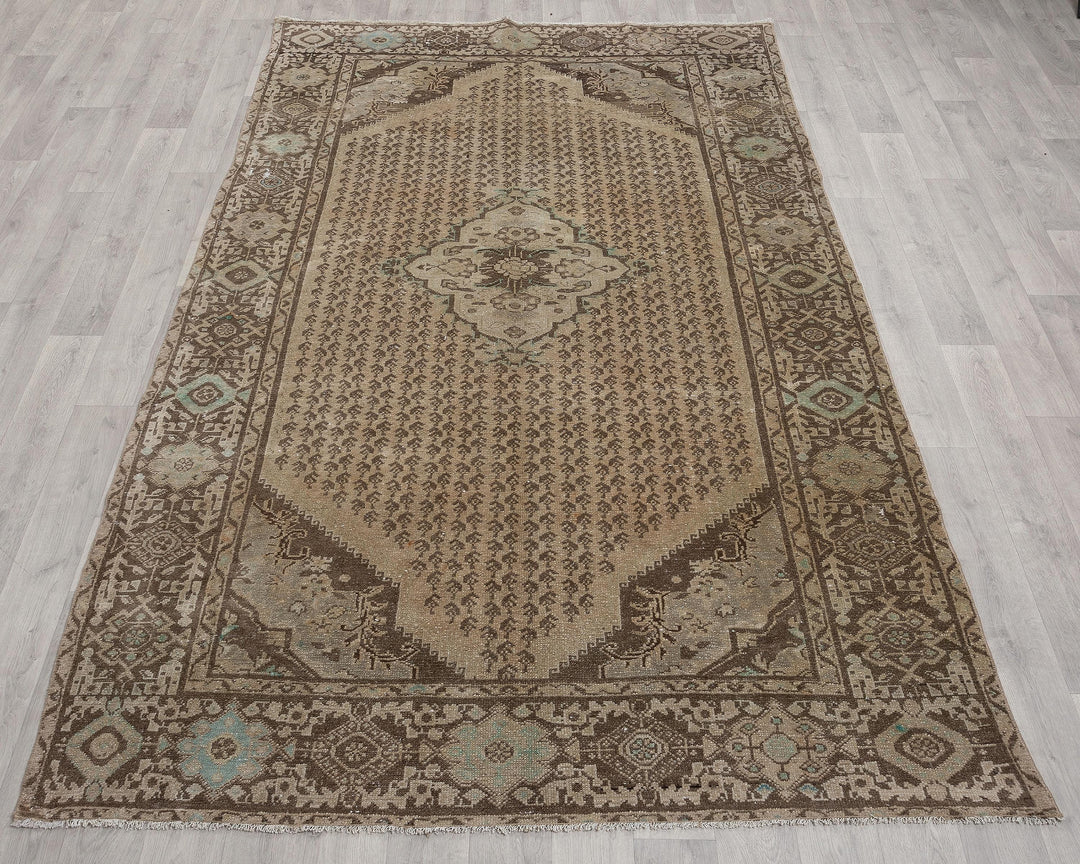 Runner Rug 5' 3" x 9' 10" | No. VR51800
