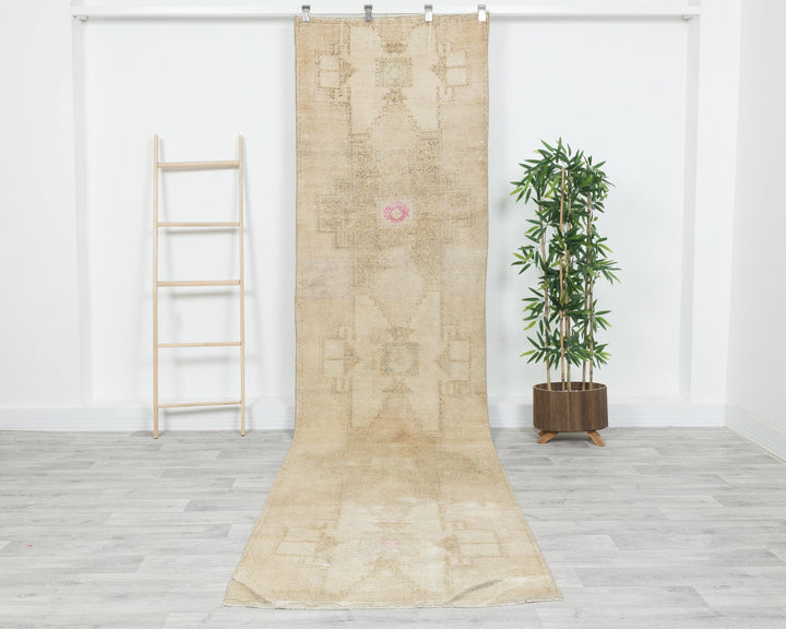 Runner Rug 3' 1" x 12' 1" | No. VR39312