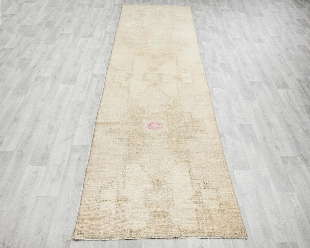 Runner Rug 3' 1" x 12' 1" | No. VR39312
