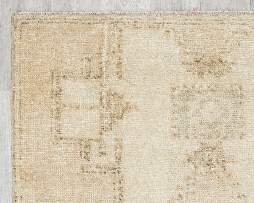 Runner Rug 3' 1" x 12' 1" | No. VR39312