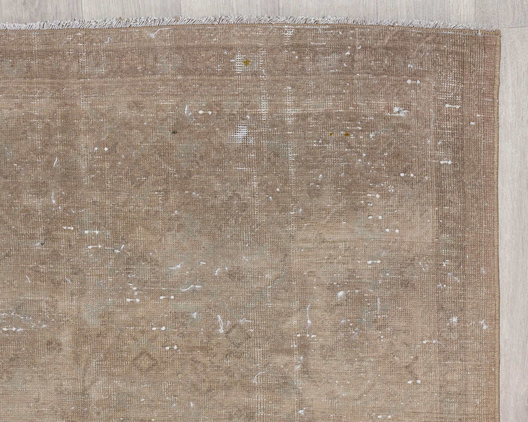 Beige Runner Rug 3' 6" x 11' 8" | No. VR33675
