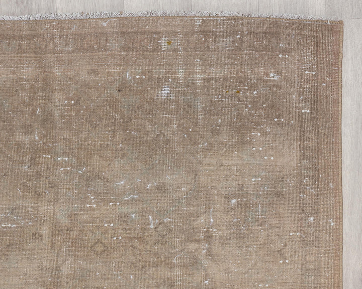 Beige Runner Rug 3' 6" x 11' 8" | No. VR33675
