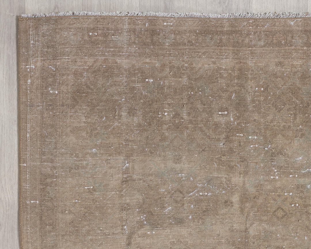 Beige Runner Rug 3' 6" x 11' 8" | No. VR33675