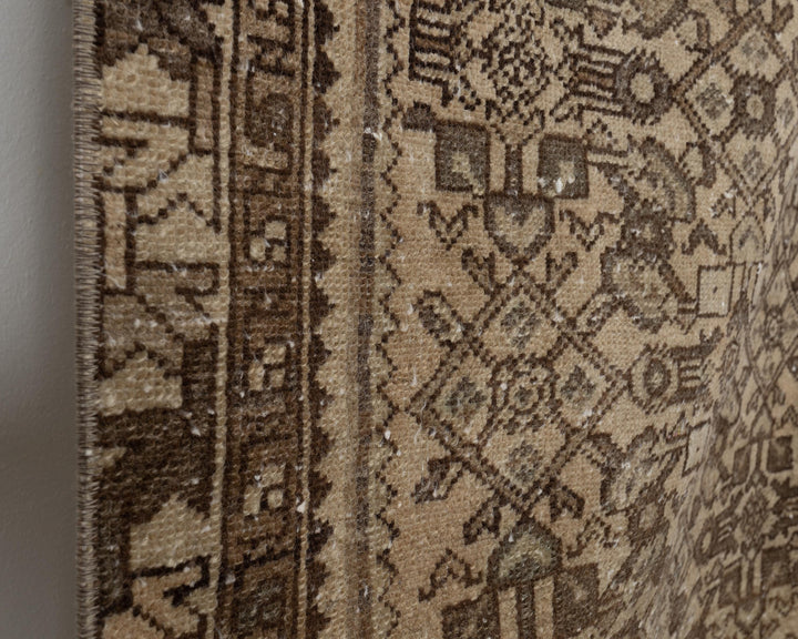 Neutral Runner Rug 3' 2" x 9' 8" | No. VR62970