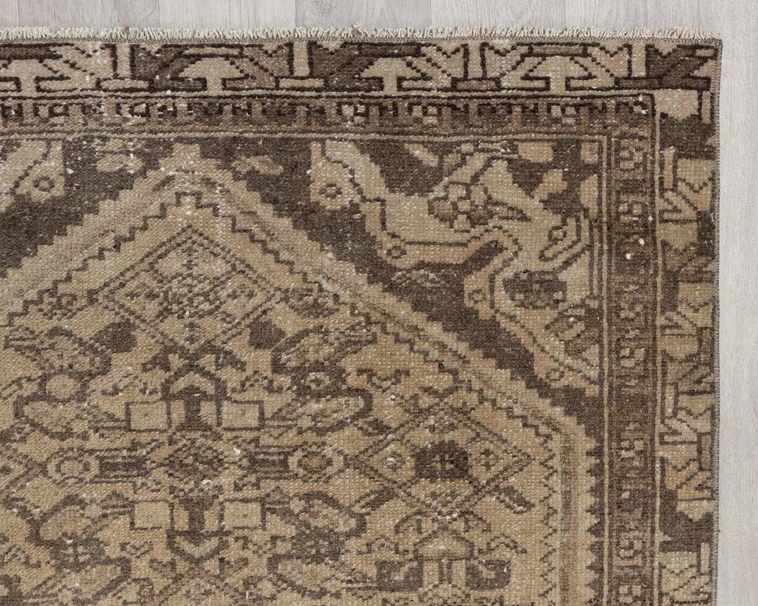 Neutral Runner Rug 3' 2" x 9' 8" | No. VR62970
