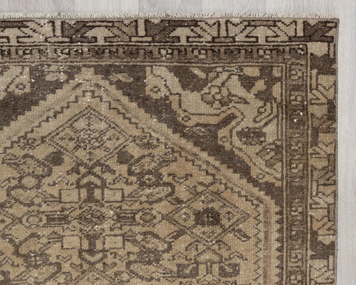 Neutral Runner Rug 3' 2" x 9' 8" | No. VR62970