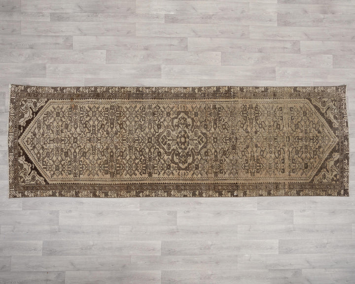 Neutral Runner Rug 3' 2" x 9' 8" | No. VR62970