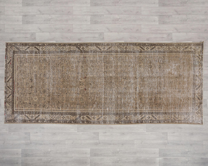 Neutral Runner Rug 4' x 9' 5" | No. VR31699