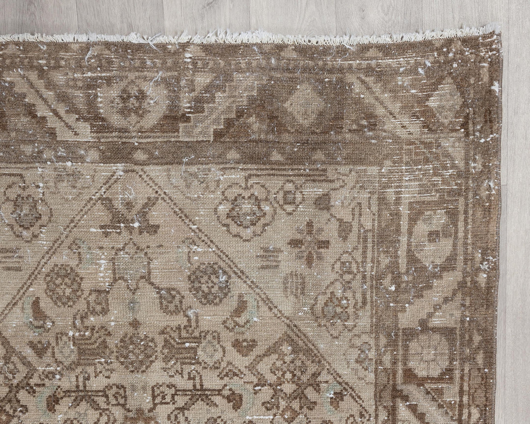 Runner Rug 3' 10" x 9' 11" | No. VR23080
