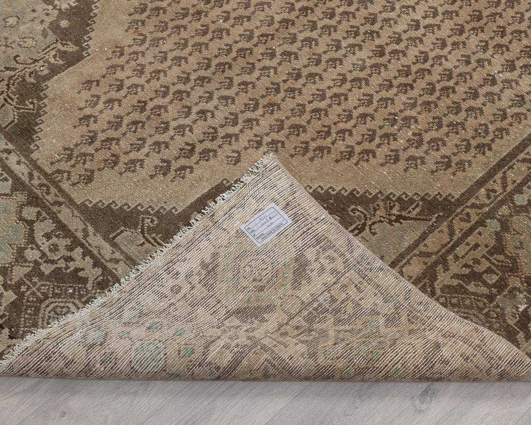 Runner Rug 5' 3" x 9' 10" | No. VR51800