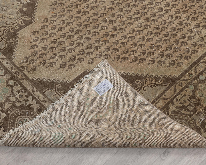 Runner Rug 5' 3" x 9' 10" | No. VR51800