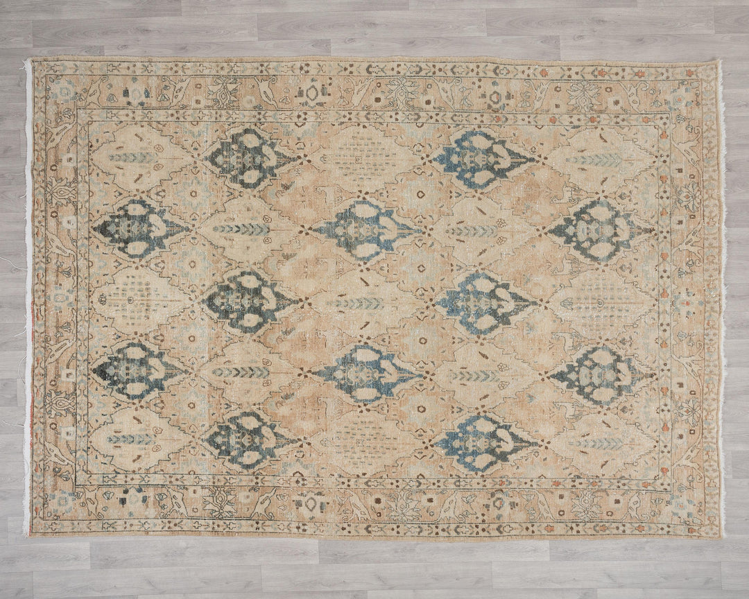 Beige Oushak Rug 7' 3" x 9' 10" | No. VR80640