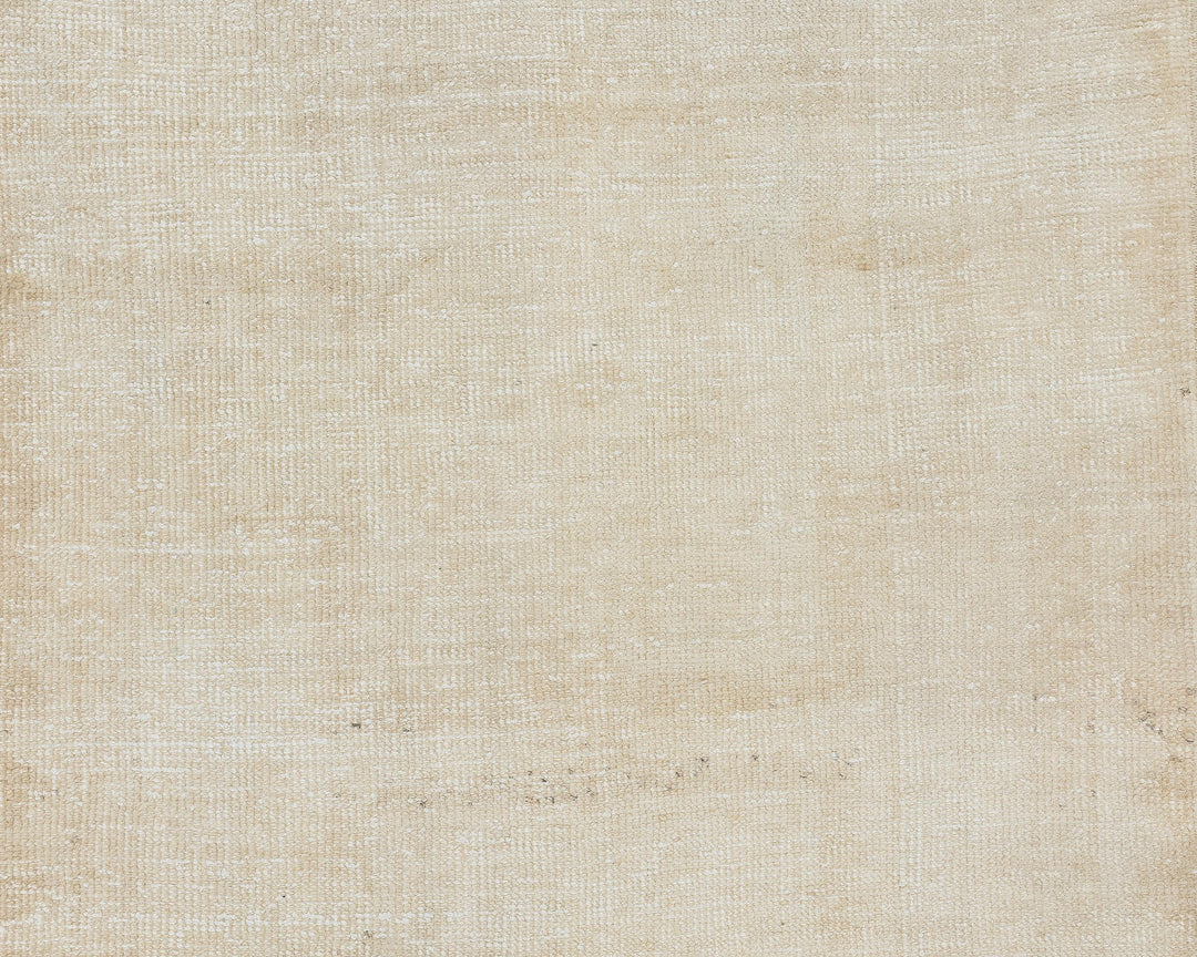 Beige Runner Rug 3' 5" x 11' 1" | No. VR85151