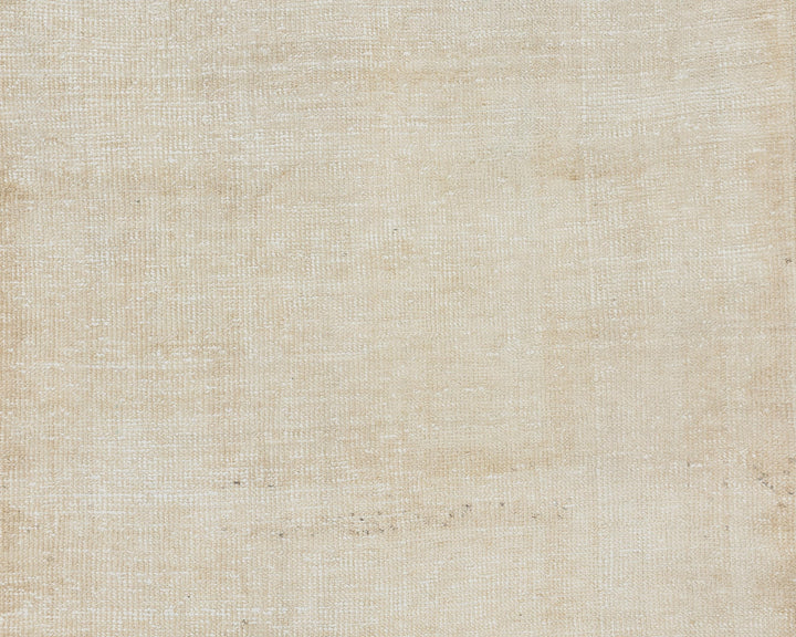 Beige Runner Rug 3' 5" x 11' 1" | No. VR85151