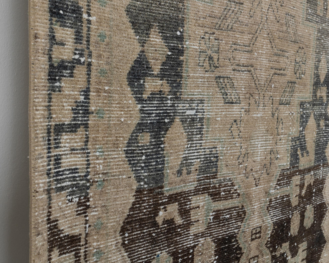 Runner Rug 3' 5" x 14' 6" | No. VR67646