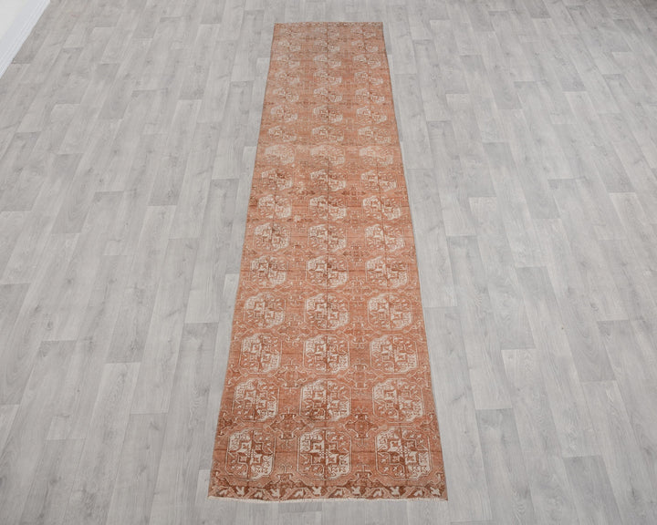 Beige Runner Rug 2' 10" x 11' 8" | No. VR71728