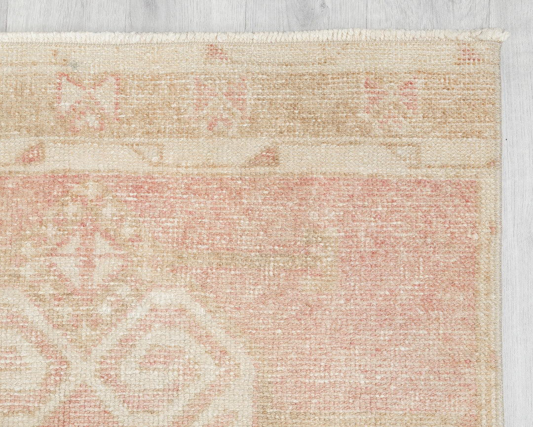 Faded Runner Rug 2' 10" x 10' 8" | No. VR21191